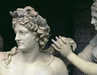 Apollo, gepflegt von den Nymphen, Detail (Kopf von Apollo)